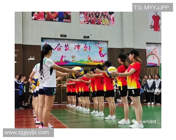 南京排球队心理素质研究及其对比赛表现的影响分析
