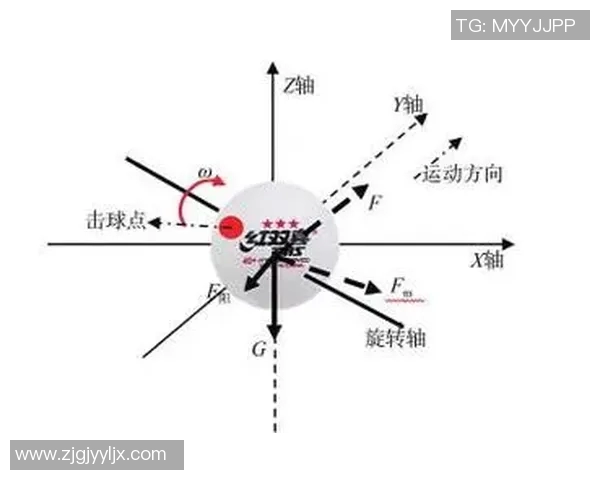 全国锦标赛分析上海乒乓球队配合默契与战术执行的表现